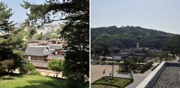 행궁에서 발견한 미술관! 미술관에서 바라본 화성행궁!