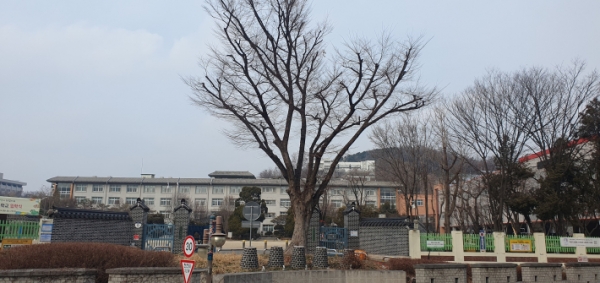 ▲ 1906년에 문을 연 매산초등학교