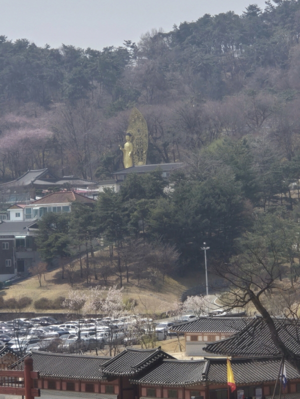 ▲ 불상이 벚꽃 배경과 어우러져 환상적인 분위기를 자아낸다.