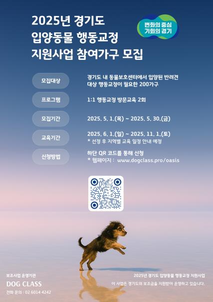 ▲ 입양동물 행동교정 지원(포스터)