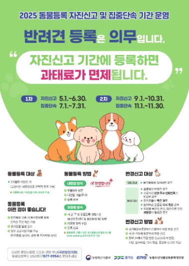 ▲ 2025년 동물등록 자진신고 및 집중단속기간 운영 안내 포스터